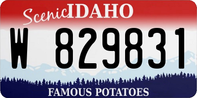 ID license plate W829831