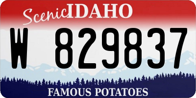 ID license plate W829837