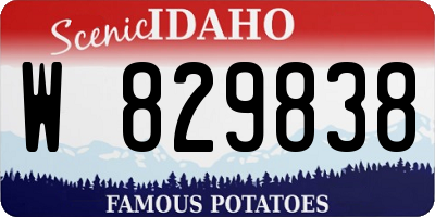 ID license plate W829838