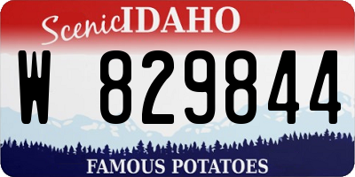 ID license plate W829844