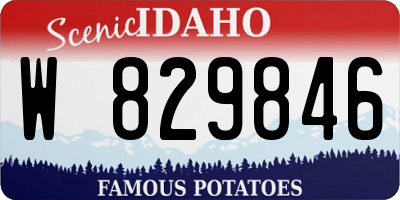 ID license plate W829846