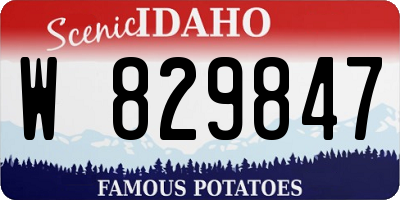 ID license plate W829847