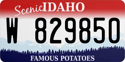 ID license plate W829850