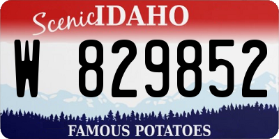 ID license plate W829852