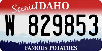 ID license plate W829853