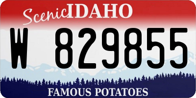 ID license plate W829855
