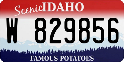 ID license plate W829856