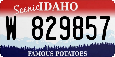 ID license plate W829857