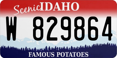 ID license plate W829864
