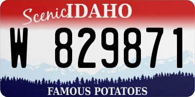 ID license plate W829871