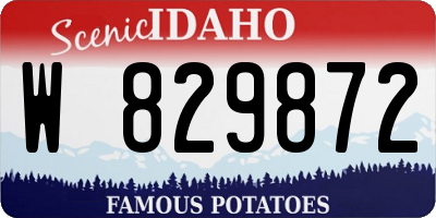 ID license plate W829872