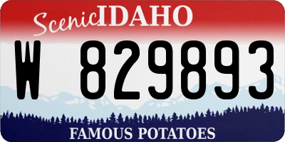 ID license plate W829893