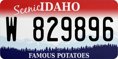 ID license plate W829896