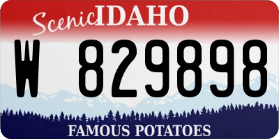 ID license plate W829898