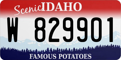 ID license plate W829901
