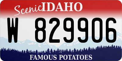 ID license plate W829906