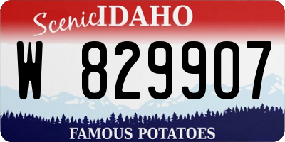 ID license plate W829907