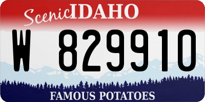 ID license plate W829910
