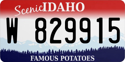 ID license plate W829915