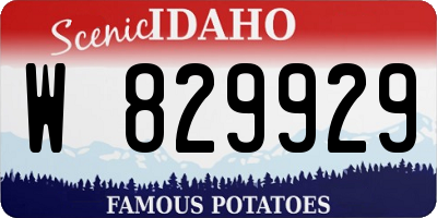 ID license plate W829929