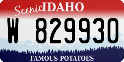 ID license plate W829930