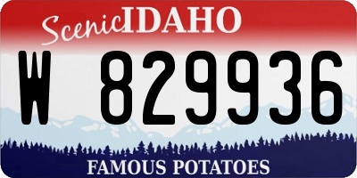 ID license plate W829936