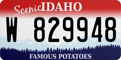 ID license plate W829948