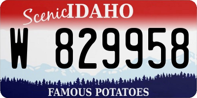ID license plate W829958