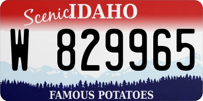 ID license plate W829965