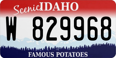 ID license plate W829968