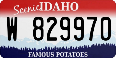 ID license plate W829970