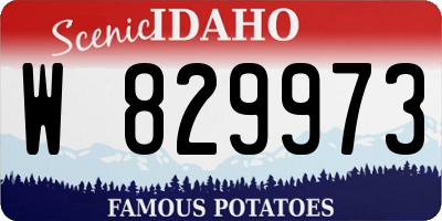 ID license plate W829973