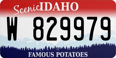 ID license plate W829979