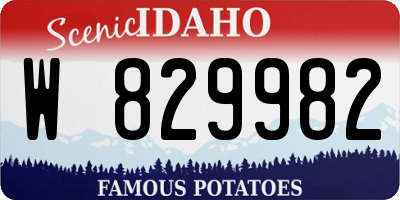 ID license plate W829982