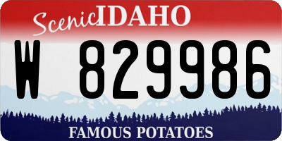 ID license plate W829986