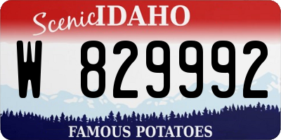 ID license plate W829992