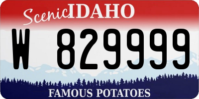 ID license plate W829999