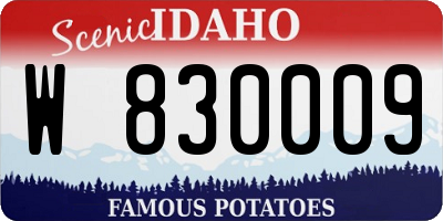 ID license plate W830009