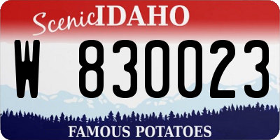 ID license plate W830023