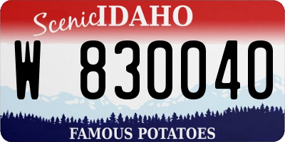ID license plate W830040