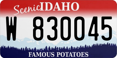 ID license plate W830045