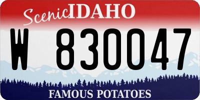 ID license plate W830047