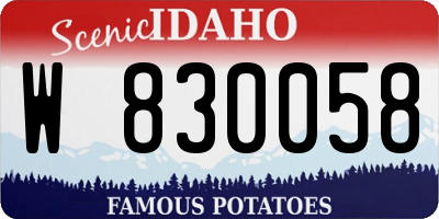 ID license plate W830058