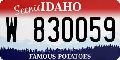 ID license plate W830059