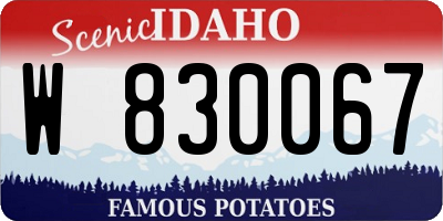 ID license plate W830067