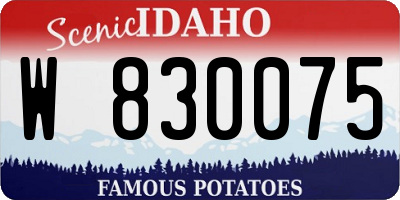 ID license plate W830075