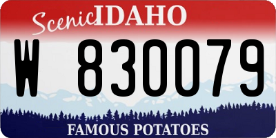 ID license plate W830079