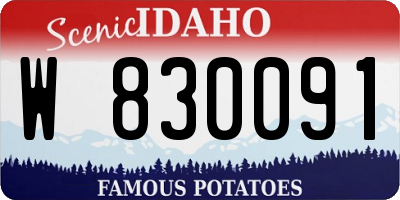 ID license plate W830091