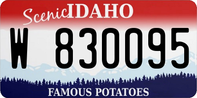 ID license plate W830095