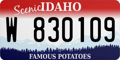 ID license plate W830109